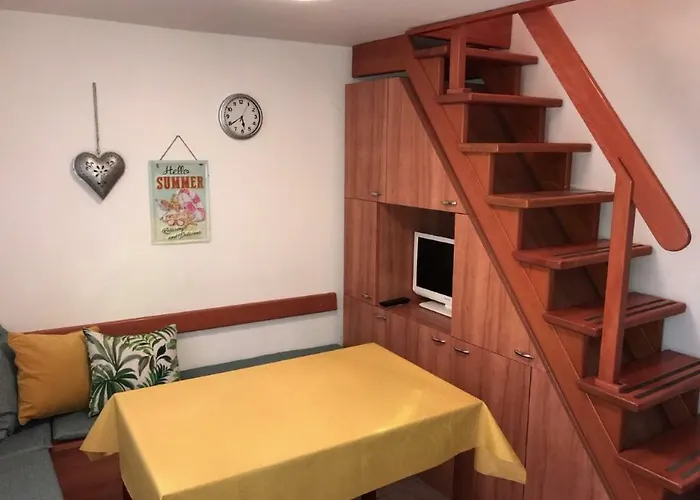 Apartment Svetozar Baška